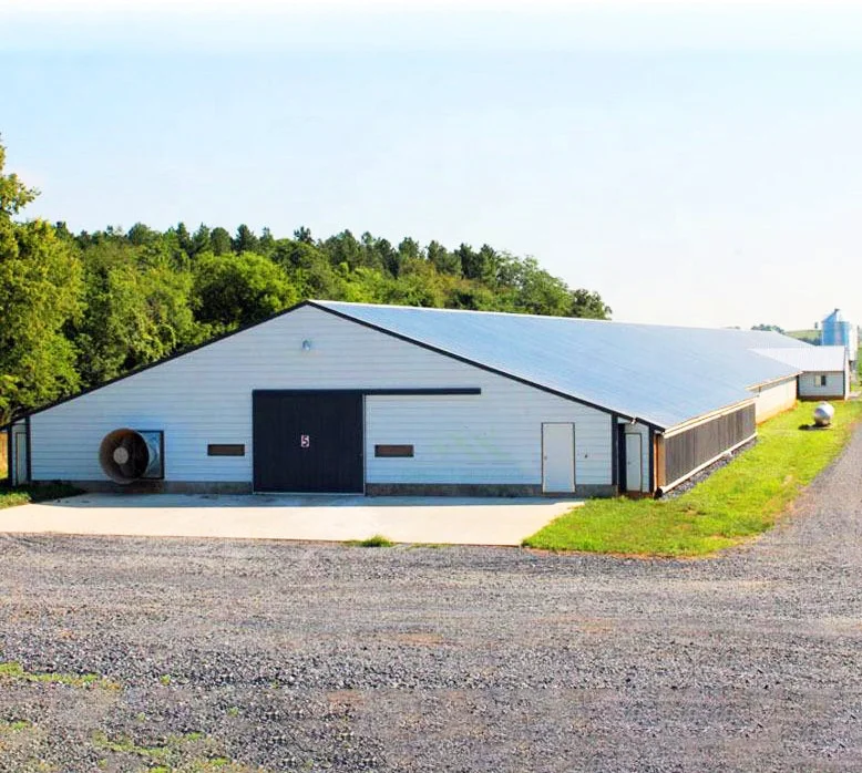 Qingdao Xinguangzheng низкая цена стальная конструкция птицеферма куриный дом дизайн для