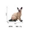 Siamese Cat