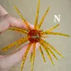 N