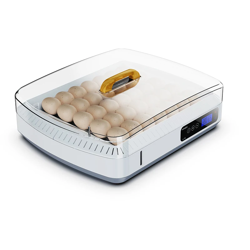 HHD Full Automatic Incubator Fish Hatchery Equipment Automatic with Tray Egg JJC-35