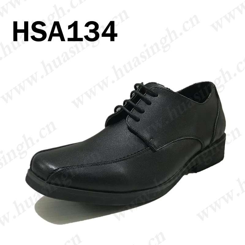 HSA134-2