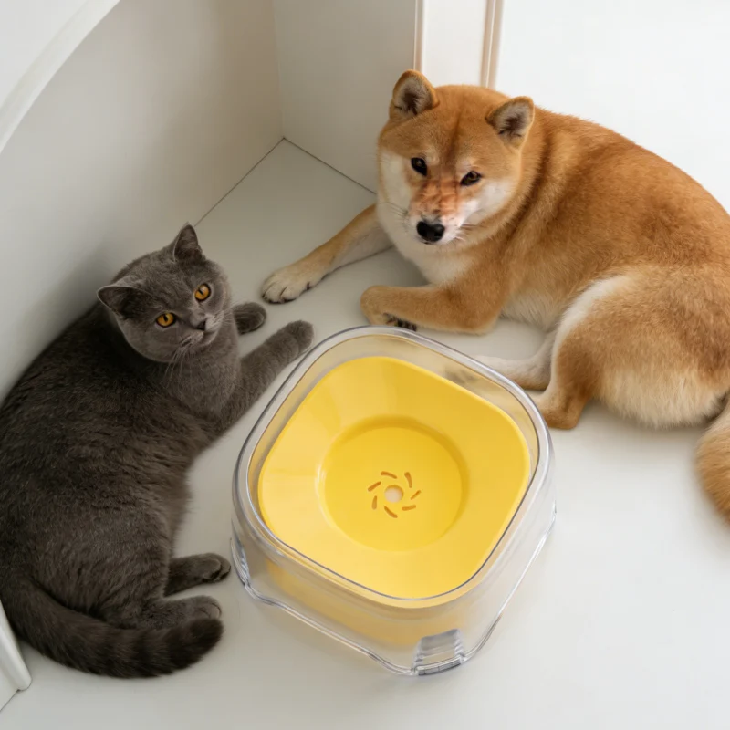 Transparent Splash Proof Portable Pet Water Fountain Visible Water Level Circulating Dog Cat Drinking Dispenser for Small Pets