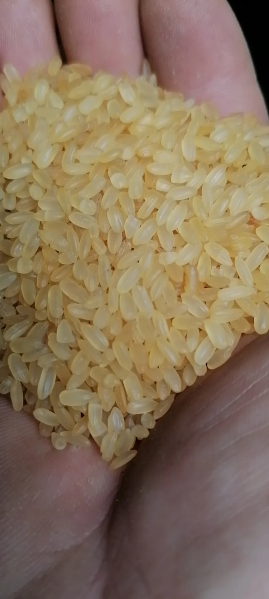 Full Automatic 2.5-3 Ton Per Hour Rice Mill Plant Rice Mill Project in Bangladesh for Preboiled Rice