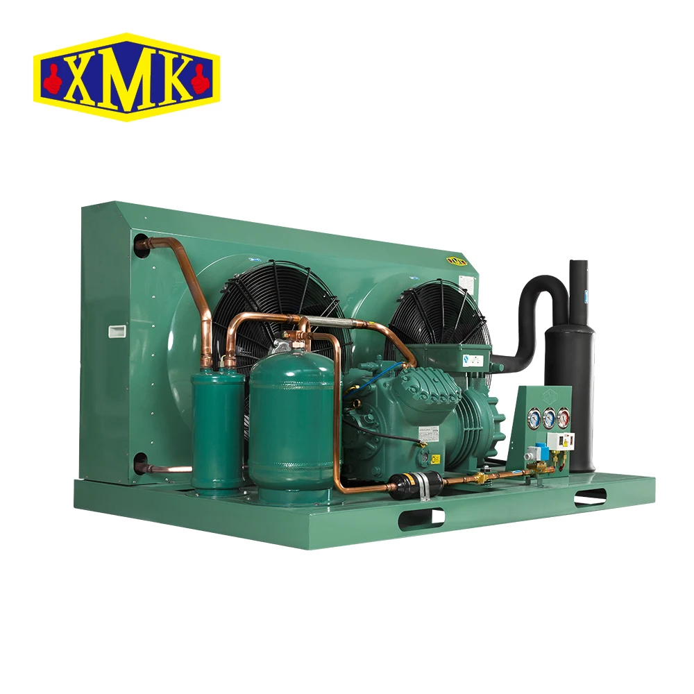 Bitzer freezer cold room Compressor Air Cooled cooling system evaporator and condensing unit refrigerator cold room