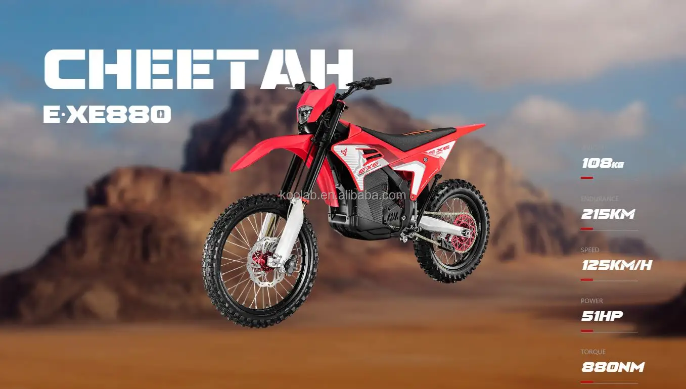 エイタ Arctic Leopard Cheetah EXE880 - High-Speed Electric Bike