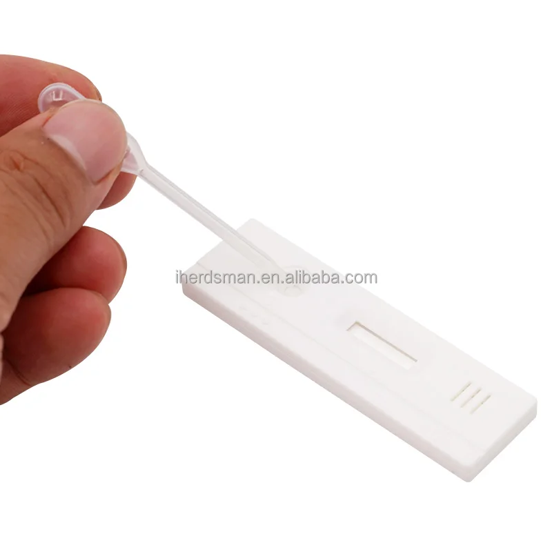 Farm Livestock Pig Pregnancy Rapid Test Kit Strip Paper Pig Pregnancy