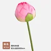 Bocciolo di loto a stelo singolo e petali doppi - rosa