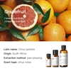 Grapefruit (South Africa) 10ml