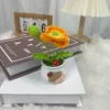 Orange2