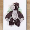7 orangutan - 50 cm