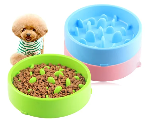 High Quality Dog Collapsible Travelling Bowl Various Color with Buckle Pet Anti Choking Bowl for Pet