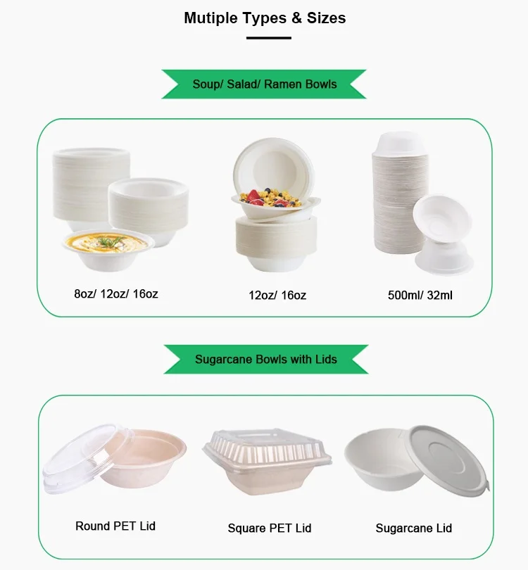 Eco-friendly Degradable Wholesale Compostable Take Away Sugarcane Bagasse Lunch Box Clamshell Container Camping Box with Lid