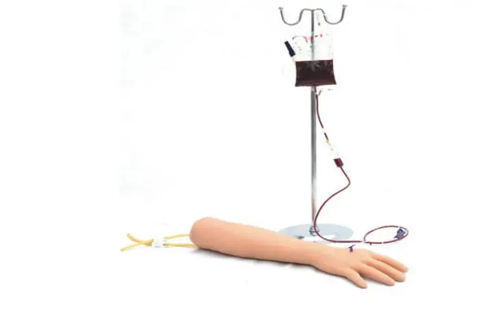 Arm care medical practice model,Medical training model of arm injection and puncture