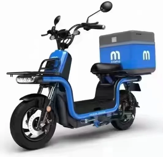 Electric Scooter cargo bike for a delivery