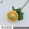 Single Dew Lotus SC Yellow
