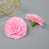 rosa 2