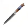 little Santoku Knife