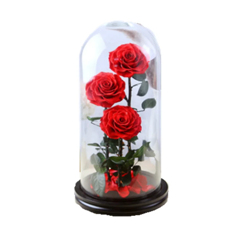 ガラスドームの3つの生涯愛永遠のロマンチックな保存されたバラ Buy 長寿命バラ 不滅バラ ロングステム ローゼズボックス Product On Alibaba Com
