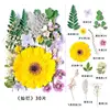 MH588-CL