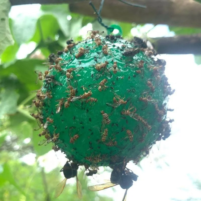 Suspension Type Insect Prevention Glue Ball Fly Sticky Trap for Effective Pest Control