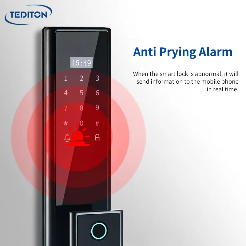 Tediton Tuya Wifi Biometric Fingerprint Intelligent Digital Push Pull Smart Door Lock With Camera