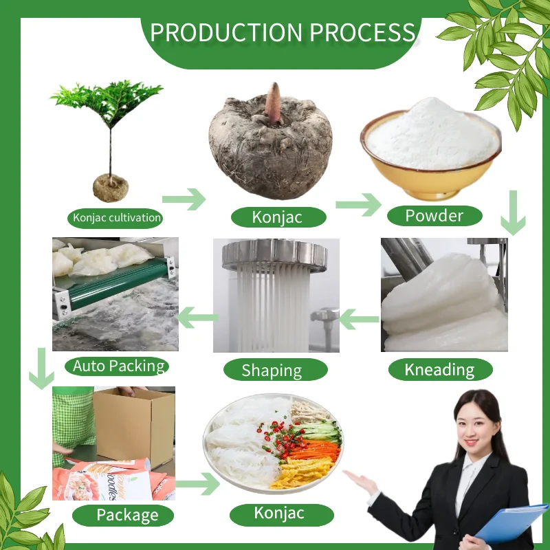 Oem Конжак лапша быстрого приготовления экспортер Тонкая паста рамен для диетического здорового супа фасоль вермишель