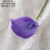 Roland purple