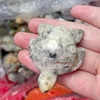 crazy lace agate
