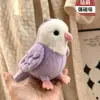 Cotorra morada [de pie en el hombro]