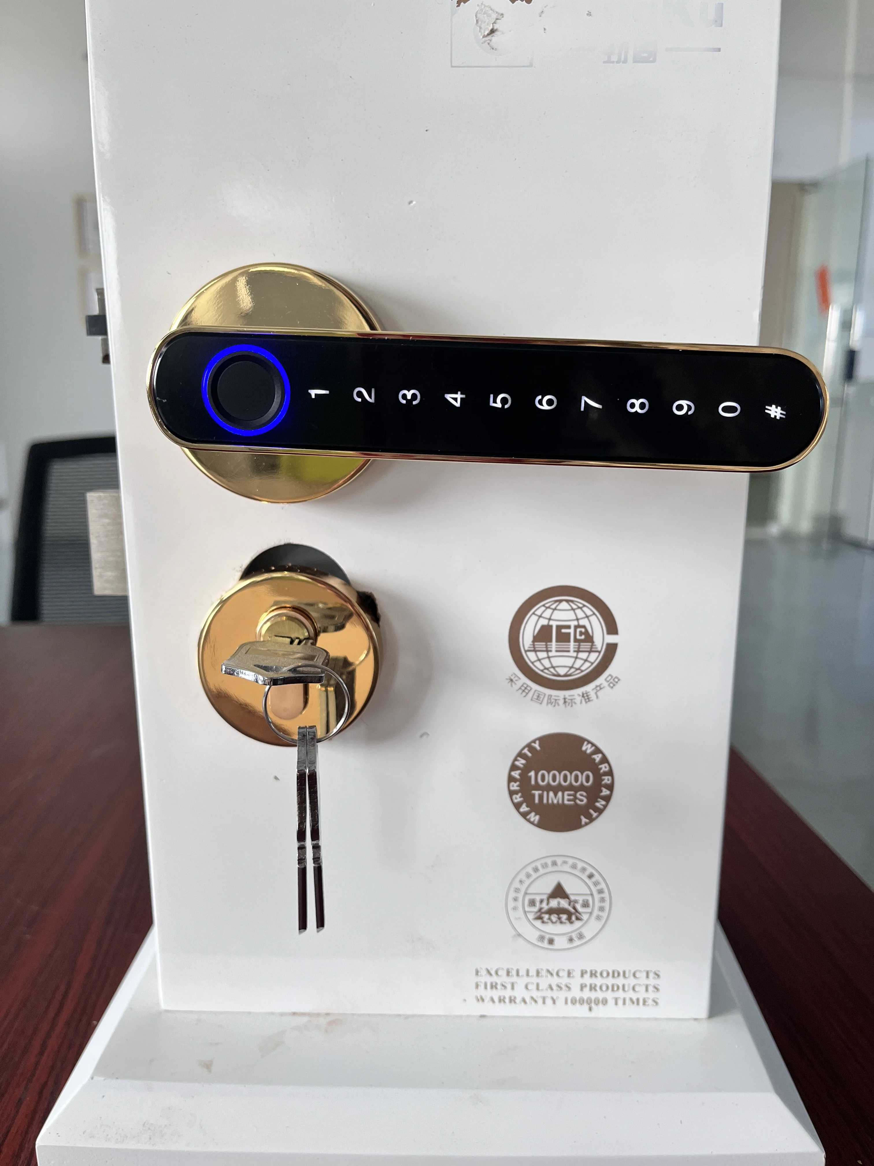 Smart Handle Door Lock with Biometric Password Fingerprint Keypad Emergency Key for Home Security