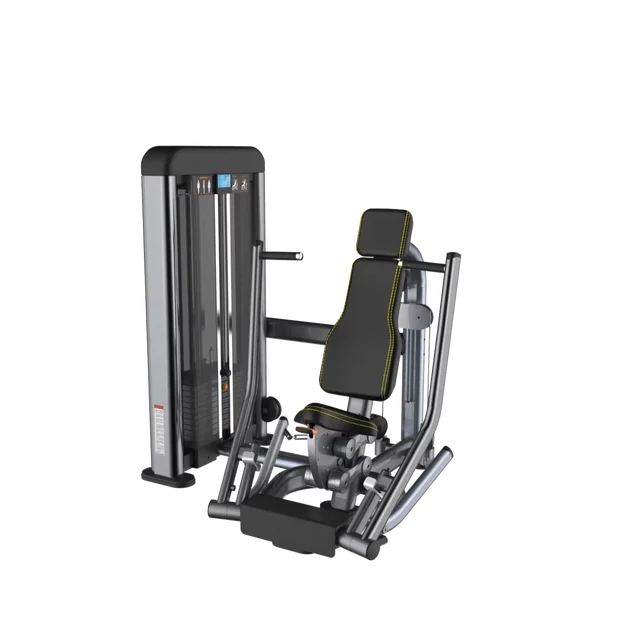 Strength Equipment of EASY CHIN DIP