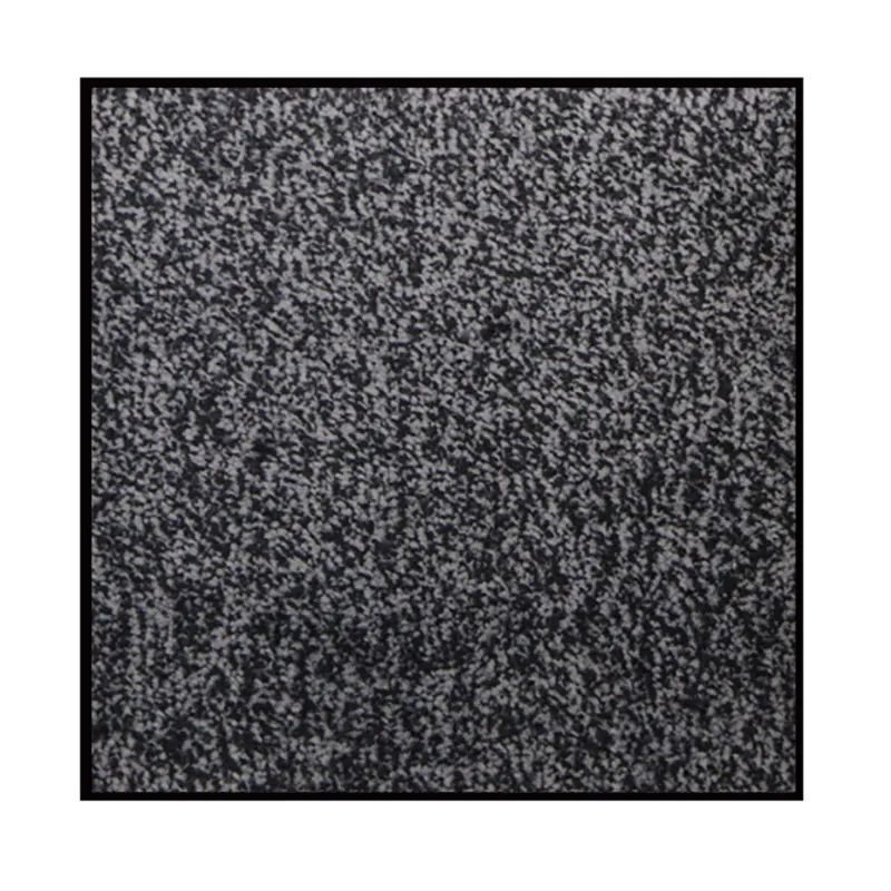 Factory Price Absorbing Entrance Mat Commercial Carpet Non-slip Dust Removal Dewatering for Mall Entrance Exhibition Hall