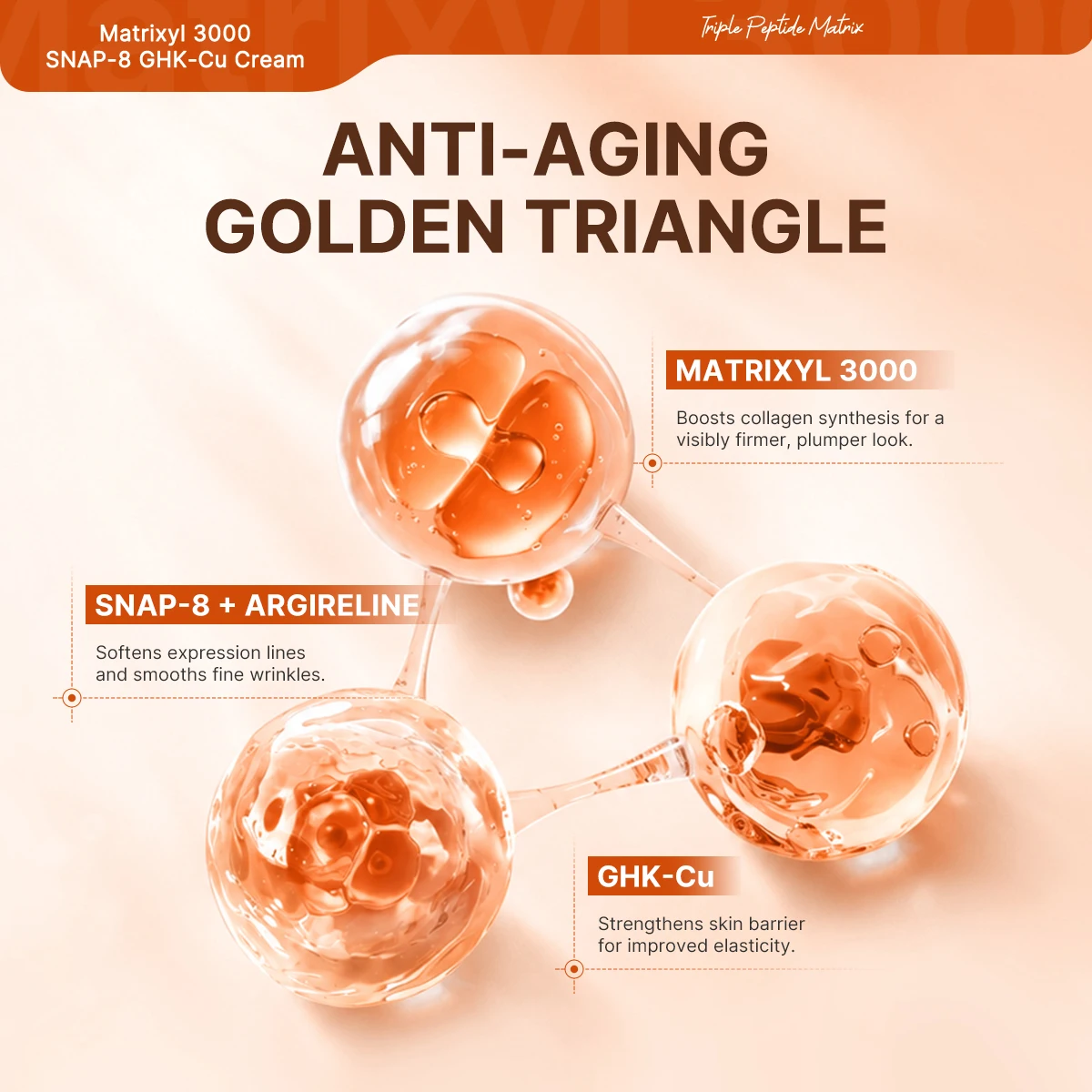 snap 8 vs ghk cu Private Label GHK-Cu SNAP-8 Matrixyl 3000 Copper Peptide Serum Anti Aging Wrinkle Firming Blue Copper Peptide Face Serum OEM ODM Recovery Research smoothes deep wrinkles Style:Capsule BAC Water 10ml |