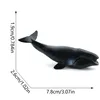 Balena a fiocco 2021-135g