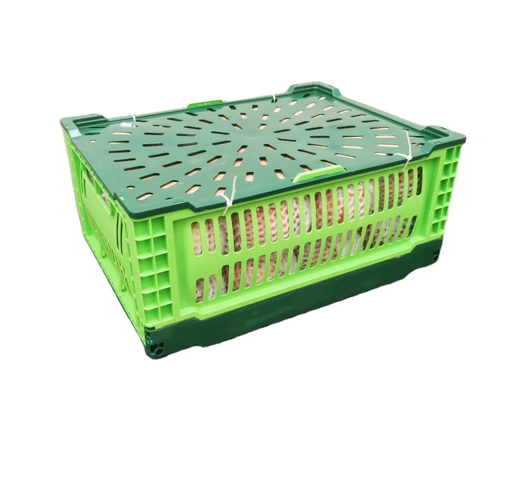 Plastic Boxes For Grid Seafood Plastic Boxes For Transportation Plastic ...