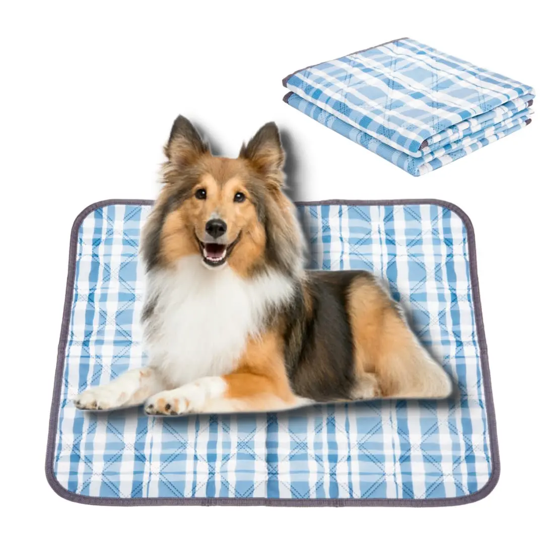 Puppy Training Mats