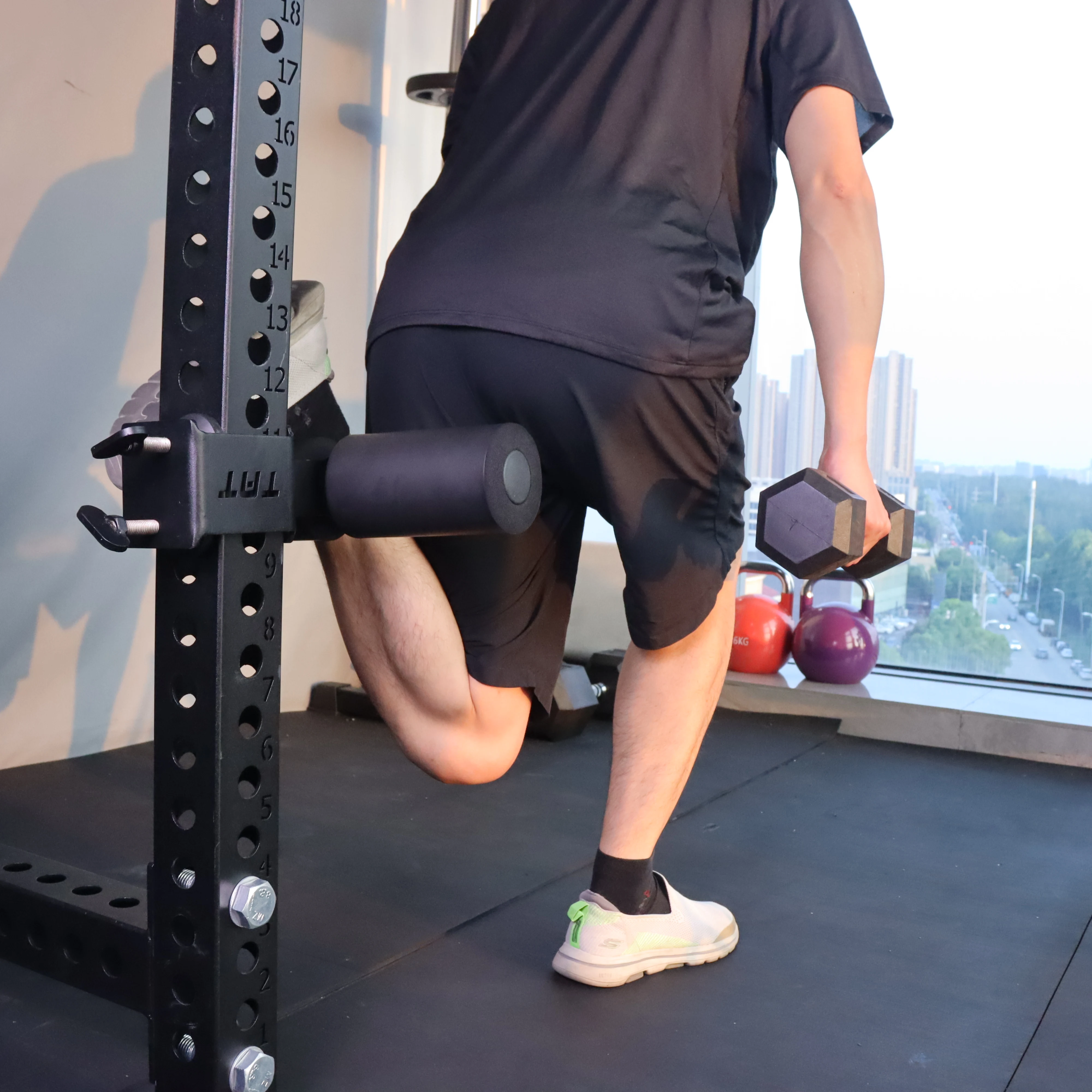 Seated Barbell Crunch Supinated Sitting Barbell Curl Dumbbell Over