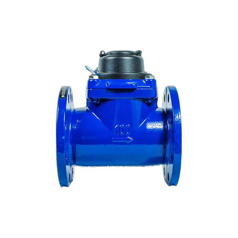 Removable Dry Dial Type Flange Socam-Water-Meter