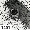 1401 negro