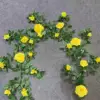 Auspicious Rose Vine - Yellow (180 cm)