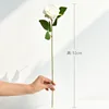 Textured Small Size - Milky White