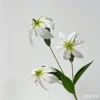 Green heart white