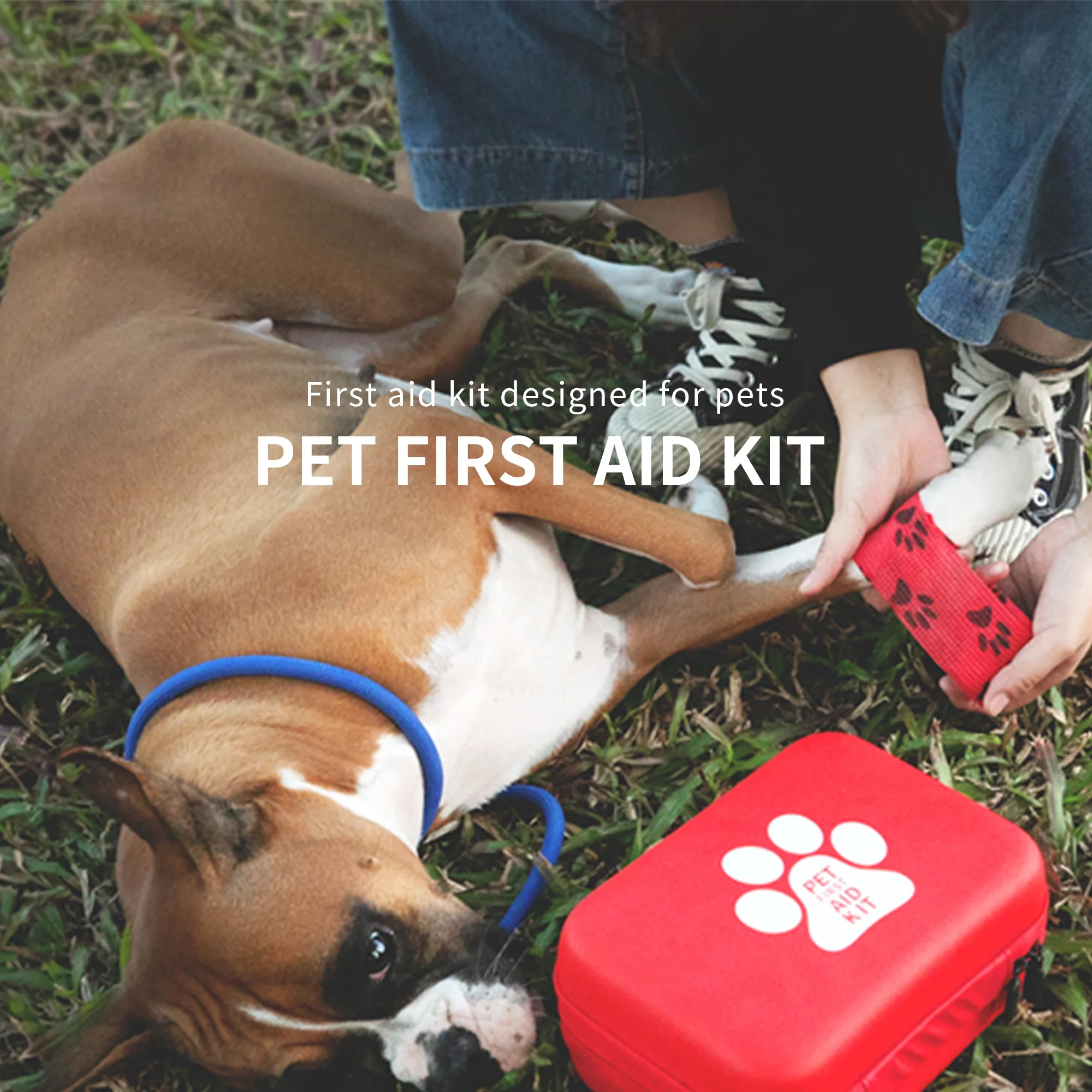 CE ISO Approved Customized Pet Dog Horse First Aid Kit Vet Cat Care Kit Canine Bag Set with Logo Wrap Bandage for Pets