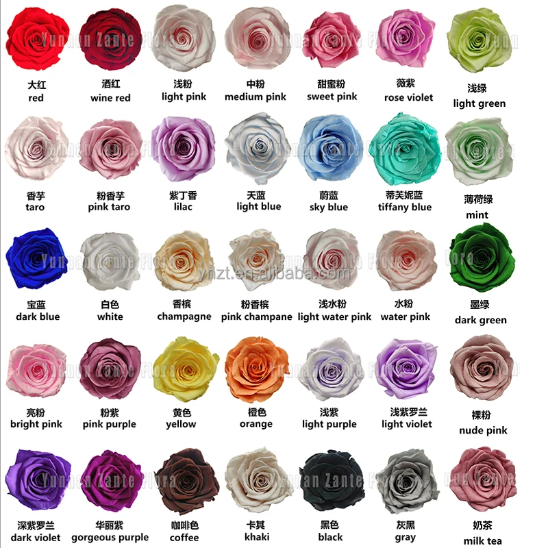 Eternal Preserved Rose Flower: 21 Pcs Wholesale Eternity Roses