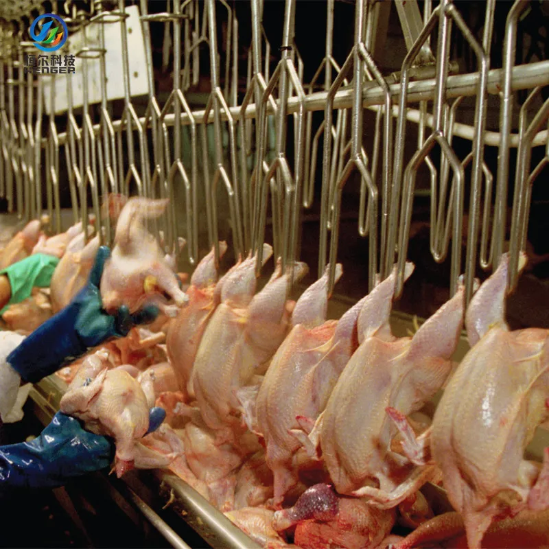 Automatic Poultry Slaughter Line Chicken Slaughtering Machine for Frozen Chicken Slaughterhouse