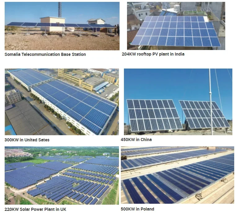 Jinko Tier 1 P-TYPE PV Module 550W 555W 560W 565W 570W Mono Solar ...