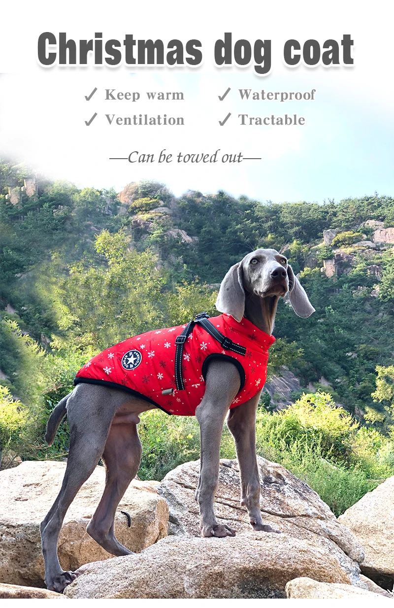 Custom High Quality Fashion Large Dog Clothing Luxury Dog Apparel Pet