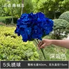 Dark blue 5-headed hydrangea