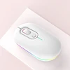 สีขาว