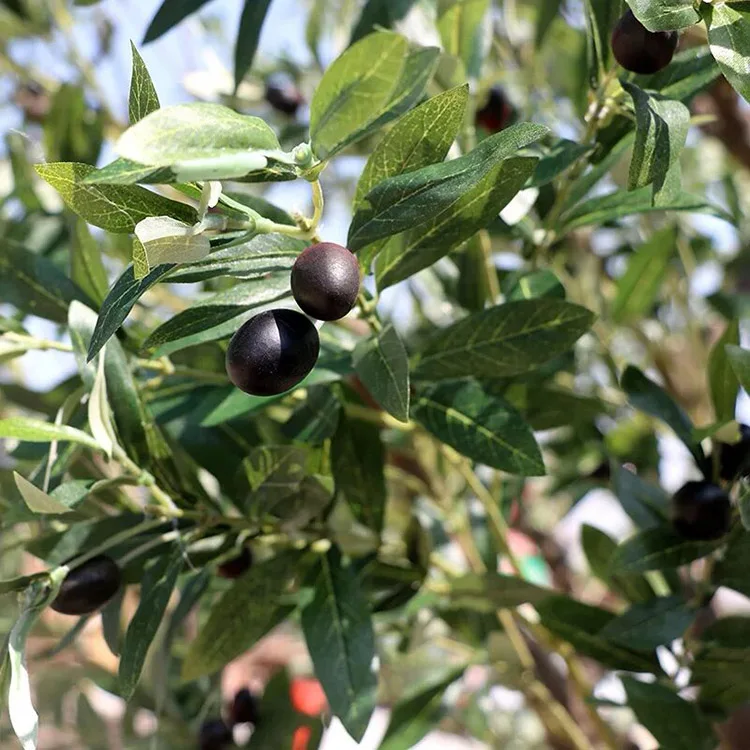 LuceAlberi Ulivo Artificiale 2,1 M | Pianta Finta Realistica Con Vaso Per Interni Ed Esterni B 581021